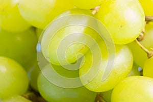 green grapes close up