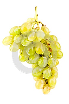 Green grapes isolated on white