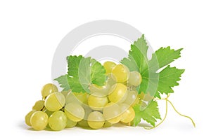 Green grapes isolated on white background