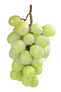 green grapes isolated on the white background