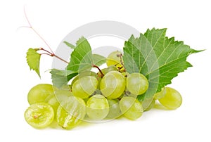 Green grapes isolated on white background. Fresh bunch of organic grapes with leaves.