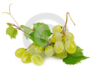 Green grapes isolated on white background. Fresh bunch of organic grapes with leaves.