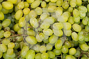 Green grapes racemation background at farmer`s market shelves close-up photo