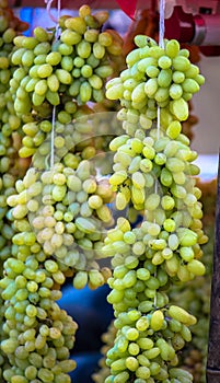 Green Grapes For Sale