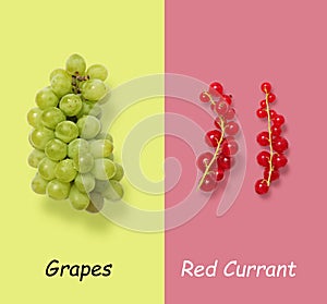 Green grapes vs red currant on grey and red background