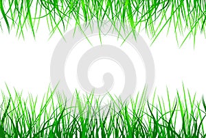 Green grass