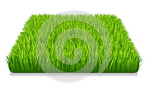 Green grass