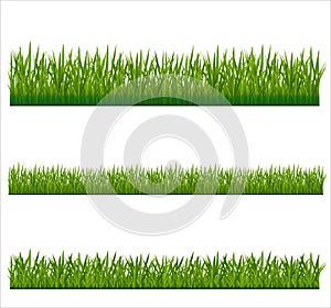 GREEN GRASS