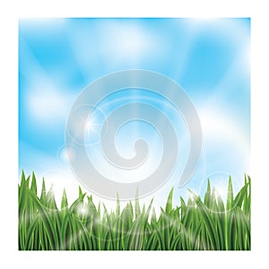 A green grass against blue sky.. Vector illustration decorative background design