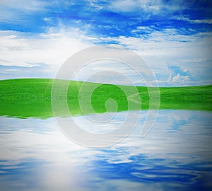 Green grass against a blue sunny sky