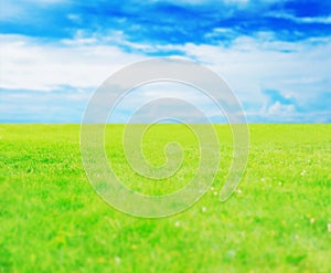 Green grass against a blue sunny sky