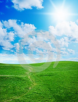 Green grass against a blue sunny sky