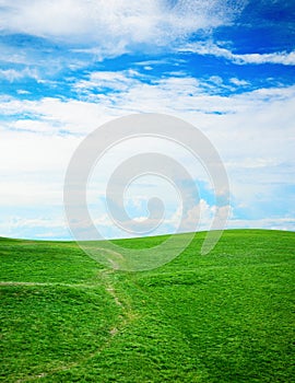 Green grass against a blue sunny sky