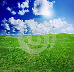 Green grass against a blue sunny sky