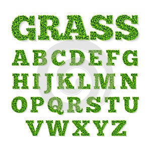 Green grass alphabet