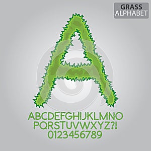 Green Grass Alphabet and Numbers Vector