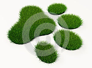 Green grass animal footprint