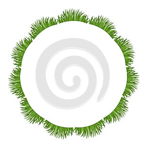 green grass art drawn round frame