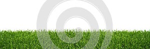 Green grass background