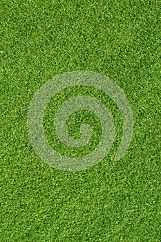 Green grass background