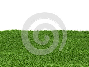 Green grass background