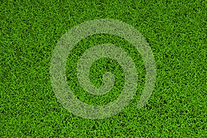 Green grass background
