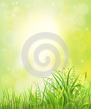 Green grass background