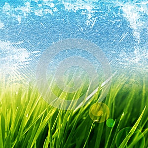 Green grass background