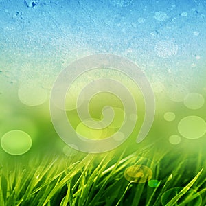 Green grass background