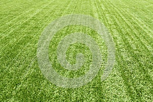Green grass for background, fresh football lawn