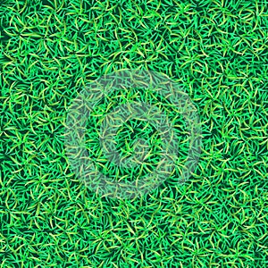 Green grass background. Grass texture