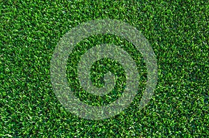 Green grass background. Lawn, football field, green grass artificial turf, texture, top view