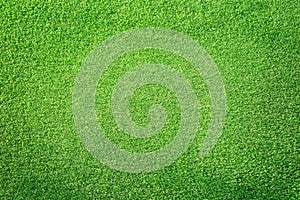 Green grass background texture