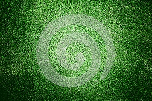 Green Grass background texture