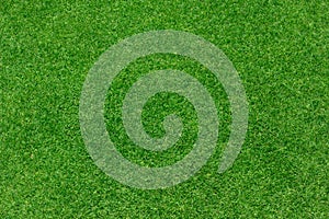 Green grass background texture