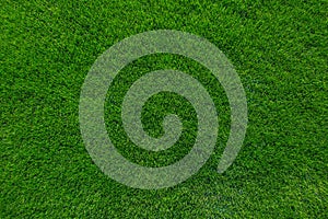 Zelená tráva textúra 