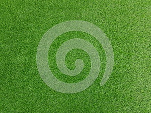 Green grass background texture, top view