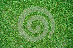 Green grass background, top view background of garden bright grass concept used for making green backdrop, lawn for sports field,