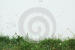 Green grass on a background of white cracked paint