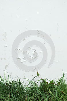 Green grass on a background of white cracked paint