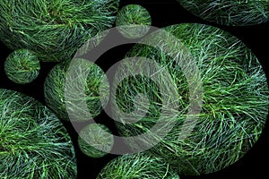 Green grass ball. Isolated on black background