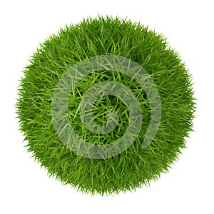 Green grass ball isolated on white background