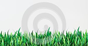 Green grass banner isolated on white. Realistic Digital illustration. Green grass stripes on white background. 3d illustration