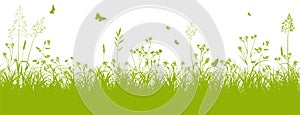 Green Grass Banner / Panorama on White Background