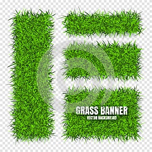 Green grass banners, background. Field, meadow texture, grassy landscape. Organic, bio, eco and natural lifestyle design