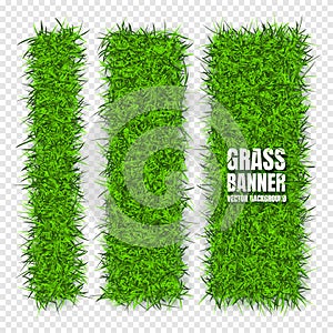 Green grass banners, background. Field, meadow texture, grassy landscape. Organic, bio, eco and natural lifestyle design