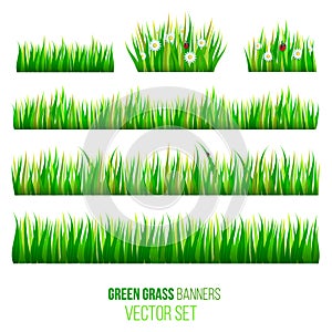 Green grass banners vector set