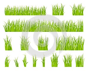 Green grass. Bio lawn pattern, herbal summer border. Isolated fields, spring season horizontal garden elements. Organic