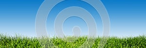 Green grass on blue clear sky, spring nature panorama photo