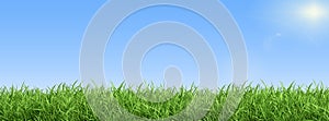 Green grass on blue clear sky, spring nature theme. Panorama